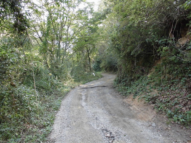 k14_12.jpg