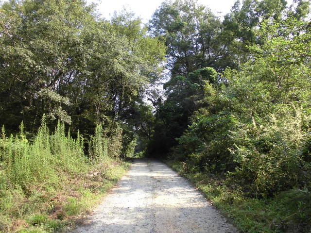 k14_13.jpg