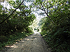 k14_14_thumb.png