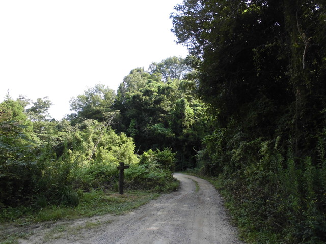 k14_15.jpg