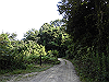 k14_15_thumb.png
