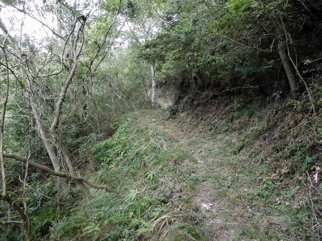 k14_19.jpg