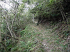 k14_19_thumb.png