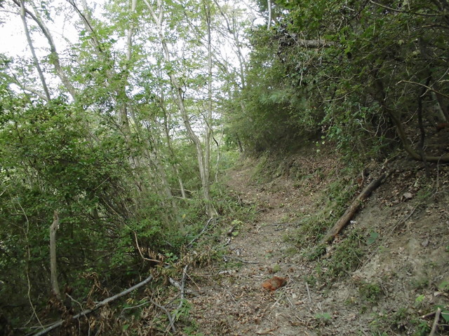 k14_21.jpg