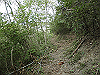 k14_21_thumb.png