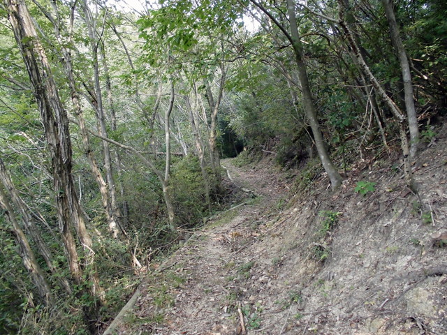 k14_22.jpg