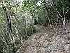 k14_22_thumb.png