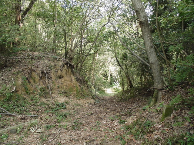 k14_24.jpg