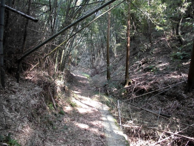 k14_25.jpg