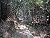 k14_25_thumb.png