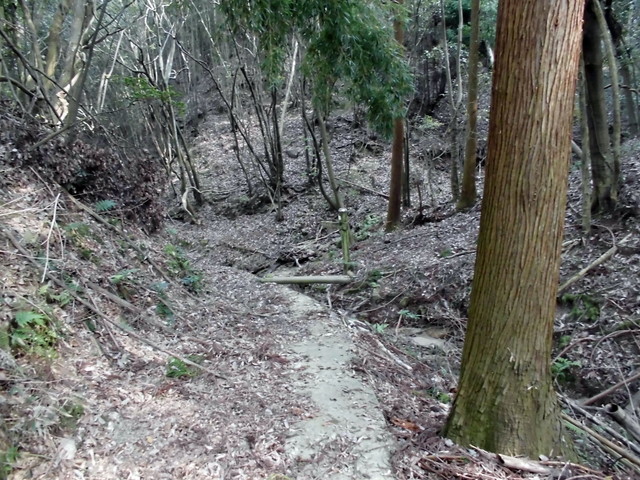 k14_26.jpg