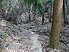 k14_26_thumb.png