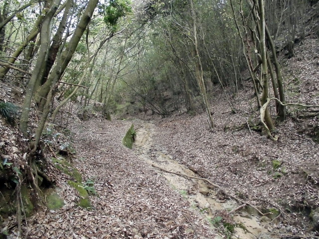 k14_27.jpg