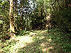 k14_29_thumb.png
