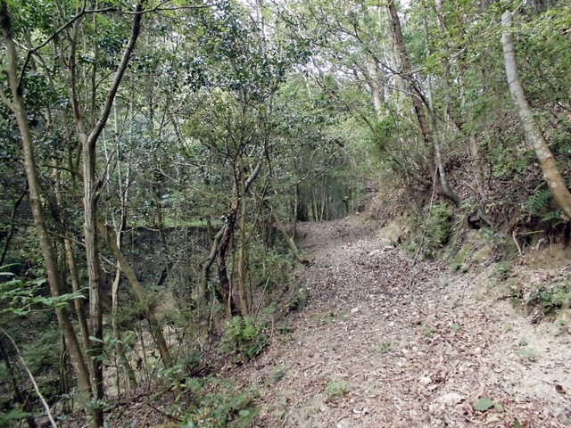 k14_30.jpg