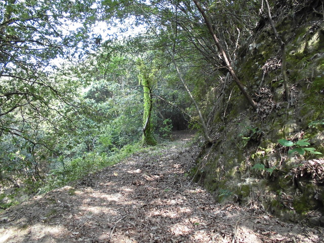 k14_31.jpg
