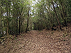 k14_32_thumb.png