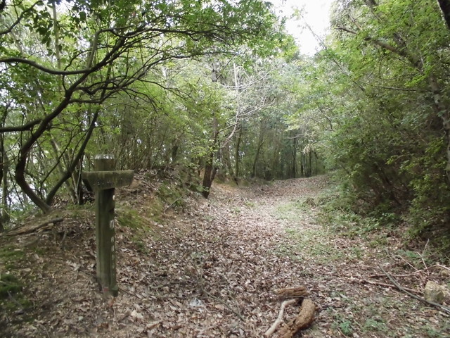 k14_33.jpg