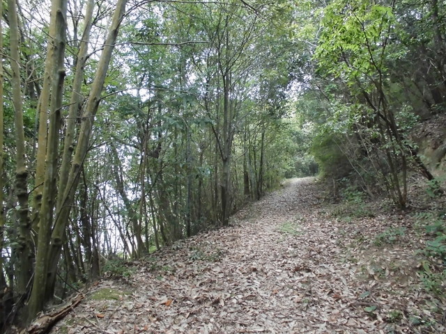 k14_34.jpg