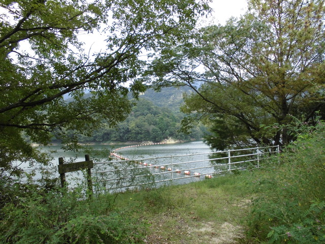 k14_36.jpg