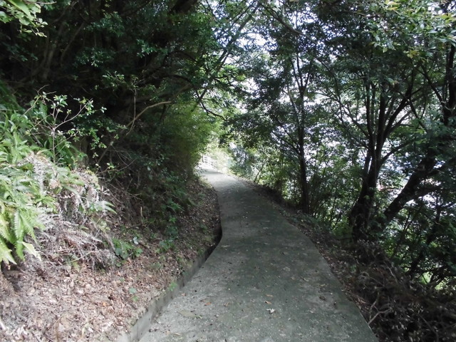 k14_44.jpg