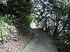 k14_44_thumb.png