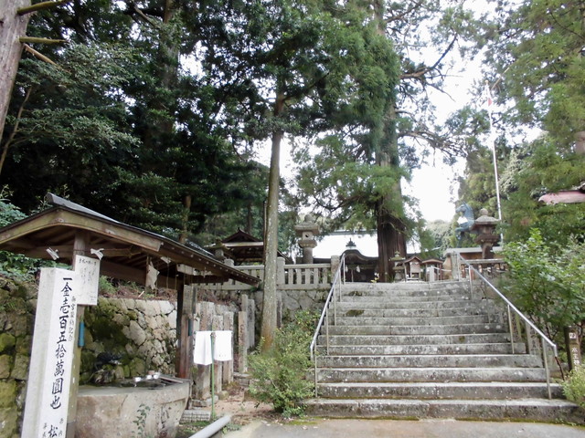 k14_51.jpg