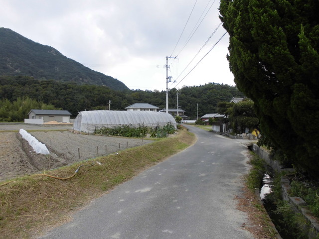 k14_54.jpg
