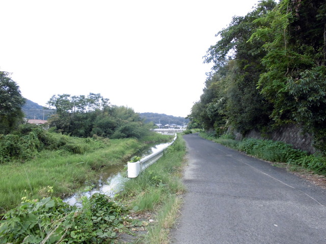 k14_60.jpg