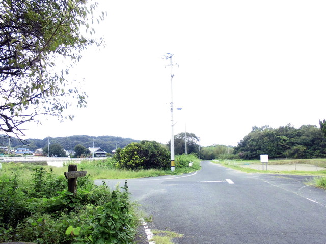 k14_61.jpg