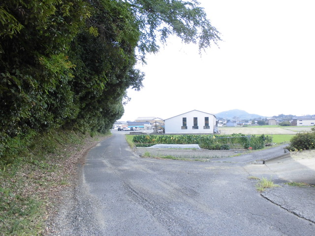 k14_79.jpg