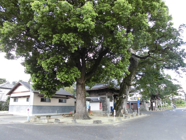 k14_80.jpg