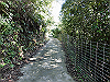 k15_04_thumb.png