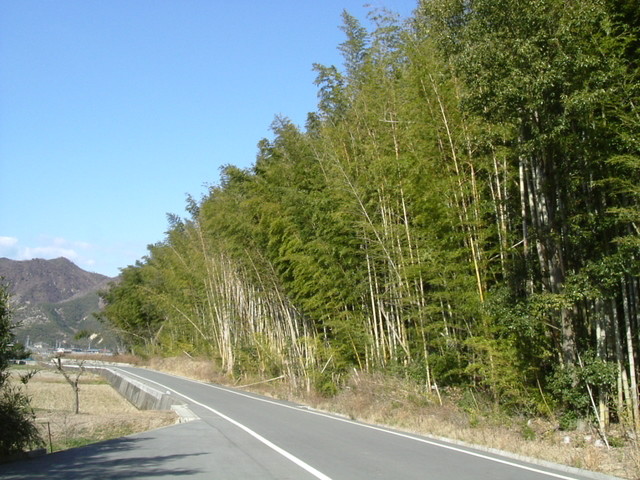 k15_27.jpg