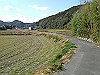 k15_33_thumb.png
