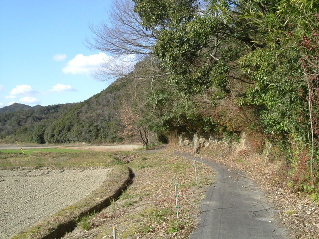 k15_41.jpg