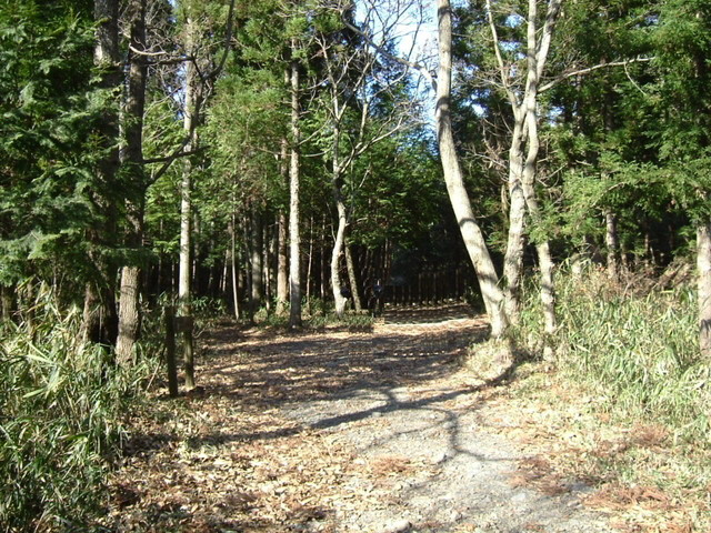 k15_42.jpg