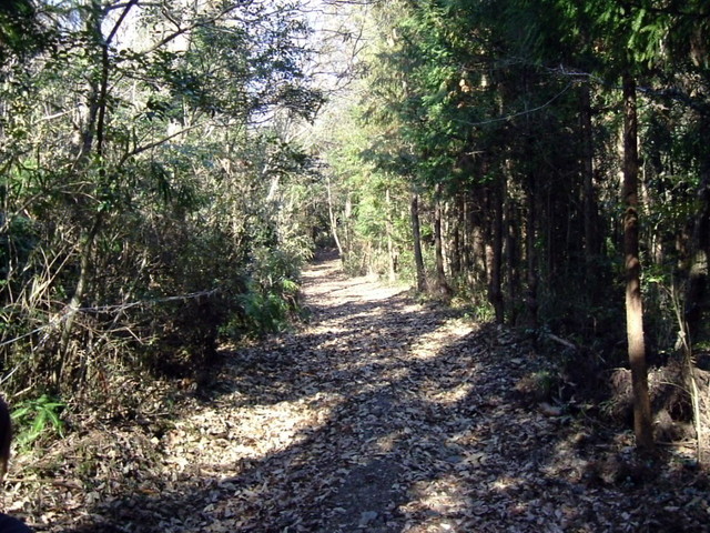 k15_43.jpg