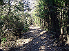 k15_43_thumb.png