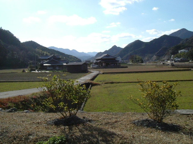 k15_45.jpg
