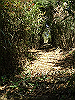 k15_48_thumb.png