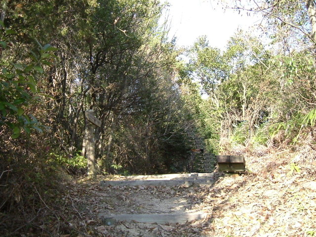 k15_49.jpg
