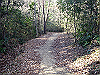 k15_50_thumb.png