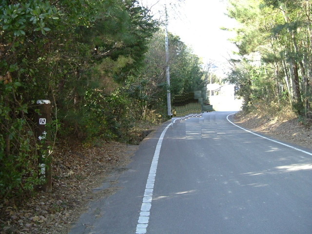 k15_52.jpg