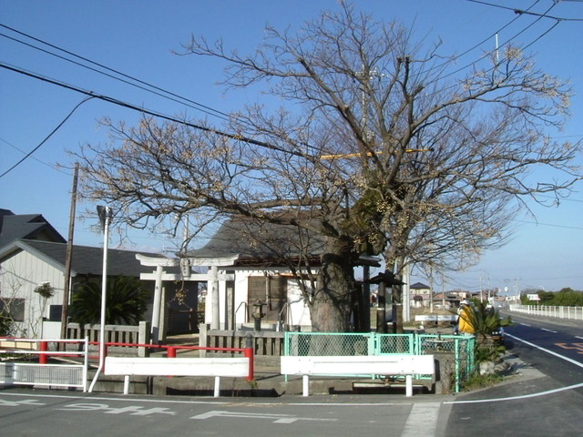 k15_55.jpg