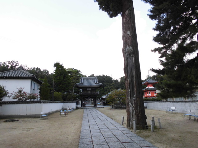 k15_70.jpg