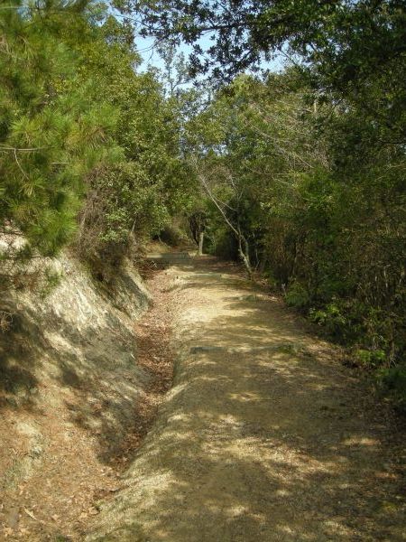 k16_25.jpg