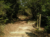 k16_27_thumb.png