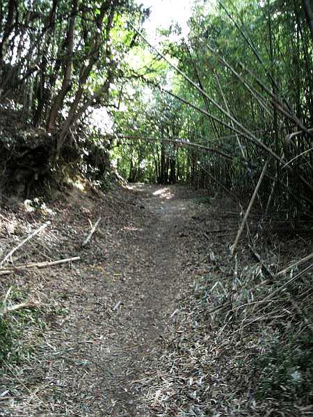 k16_41.jpg