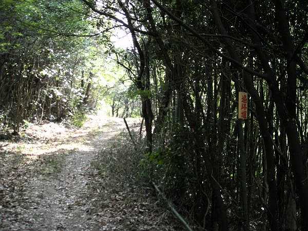 k16_43.jpg